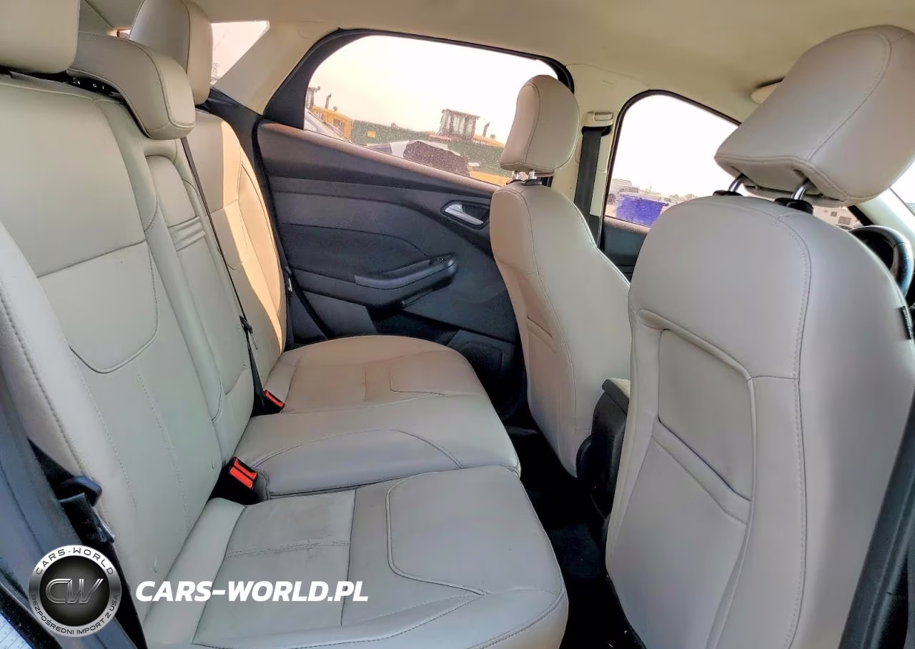 2016 Ford Focus Titanium VIN:1FADP3N23GL315916 - 10