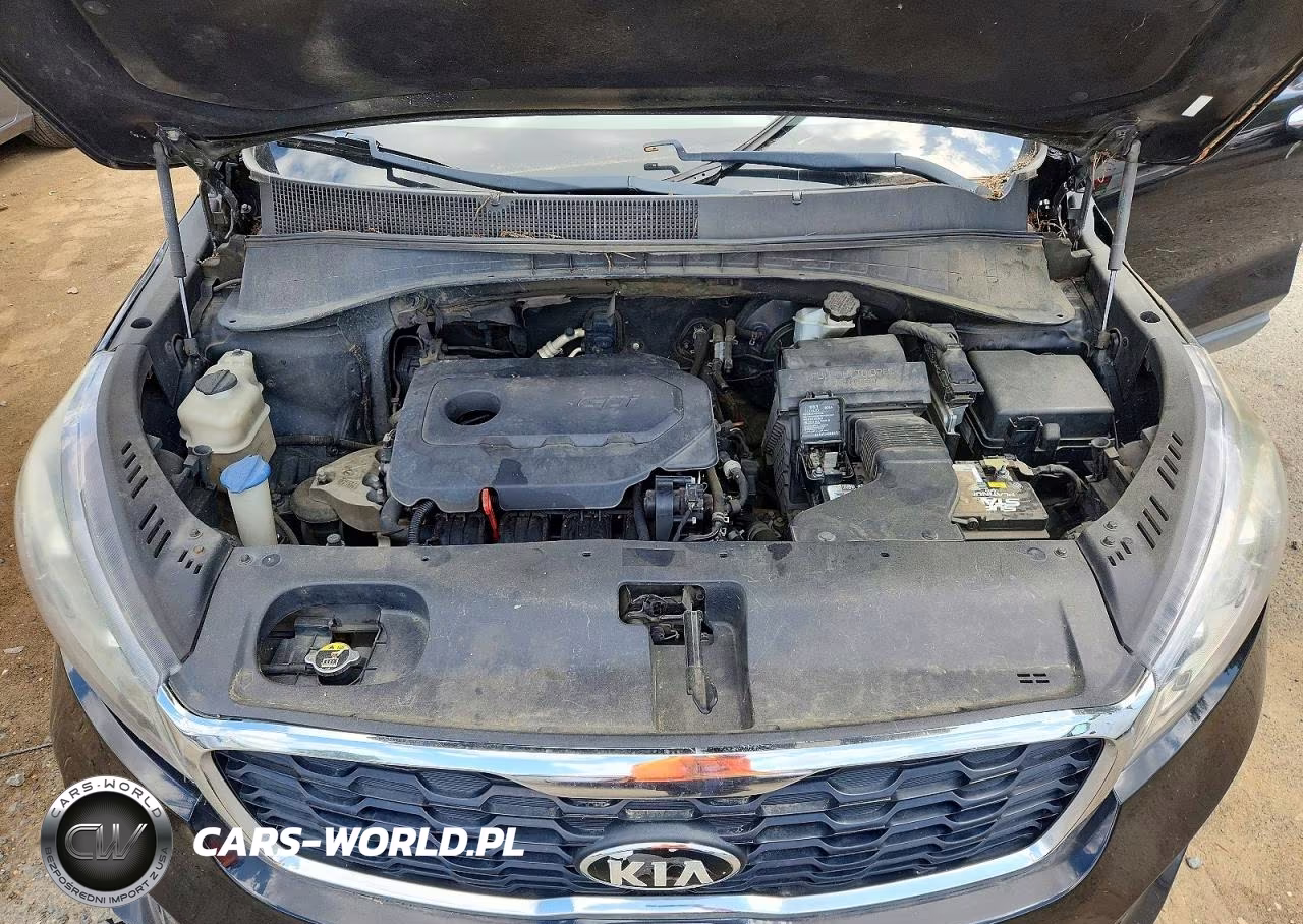 2019 Kia Sorento Lx VIN:5XYPG4A35KG523554 - 12