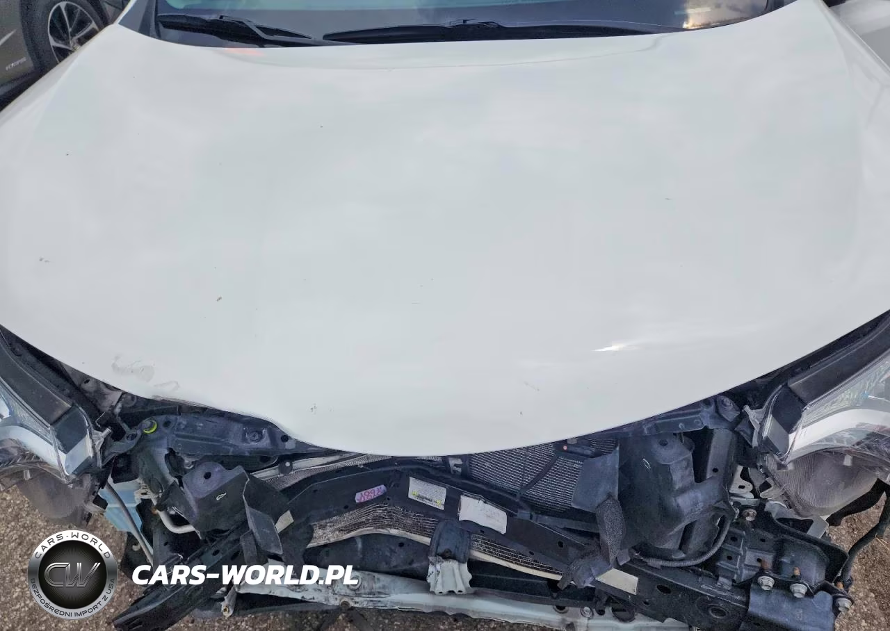 2016 Toyota Rav4 Xle VIN:JTMRFREVXGJ093418 - 12