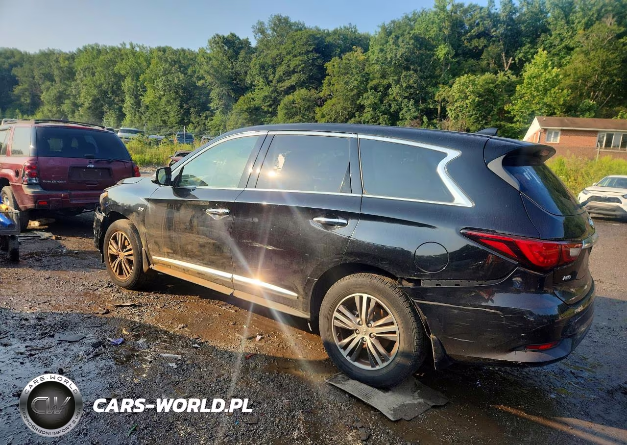 2019 Infiniti Qx60 Pure VIN:5N1DL0MM5KC568862 - 2