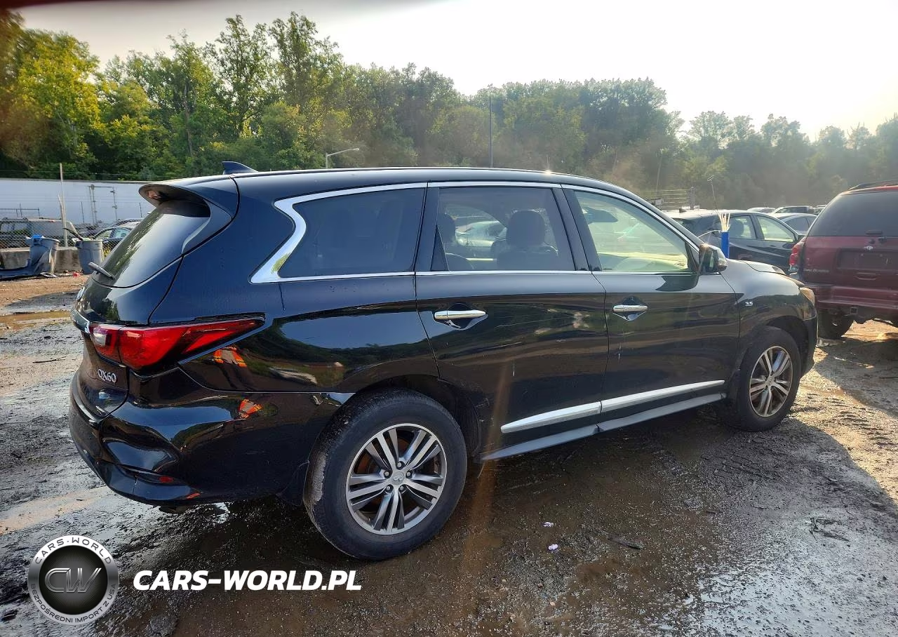 2019 Infiniti Qx60 Pure VIN:5N1DL0MM5KC568862 - 3