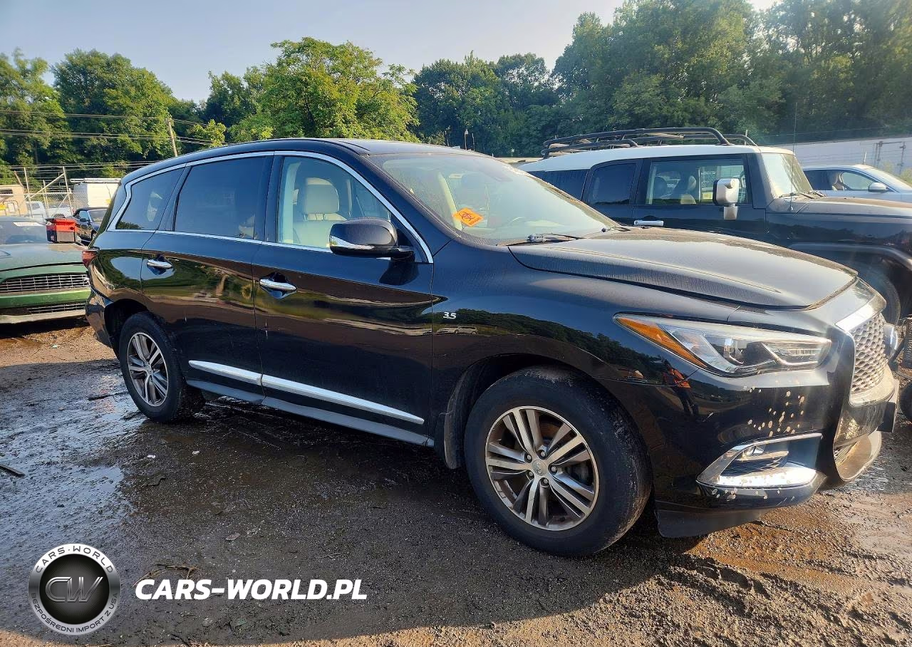2019 Infiniti Qx60 Pure VIN:5N1DL0MM5KC568862 - 4