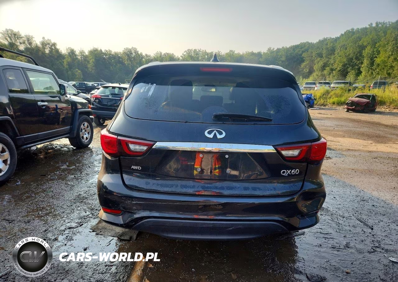 2019 Infiniti Qx60 Pure VIN:5N1DL0MM5KC568862 - 6