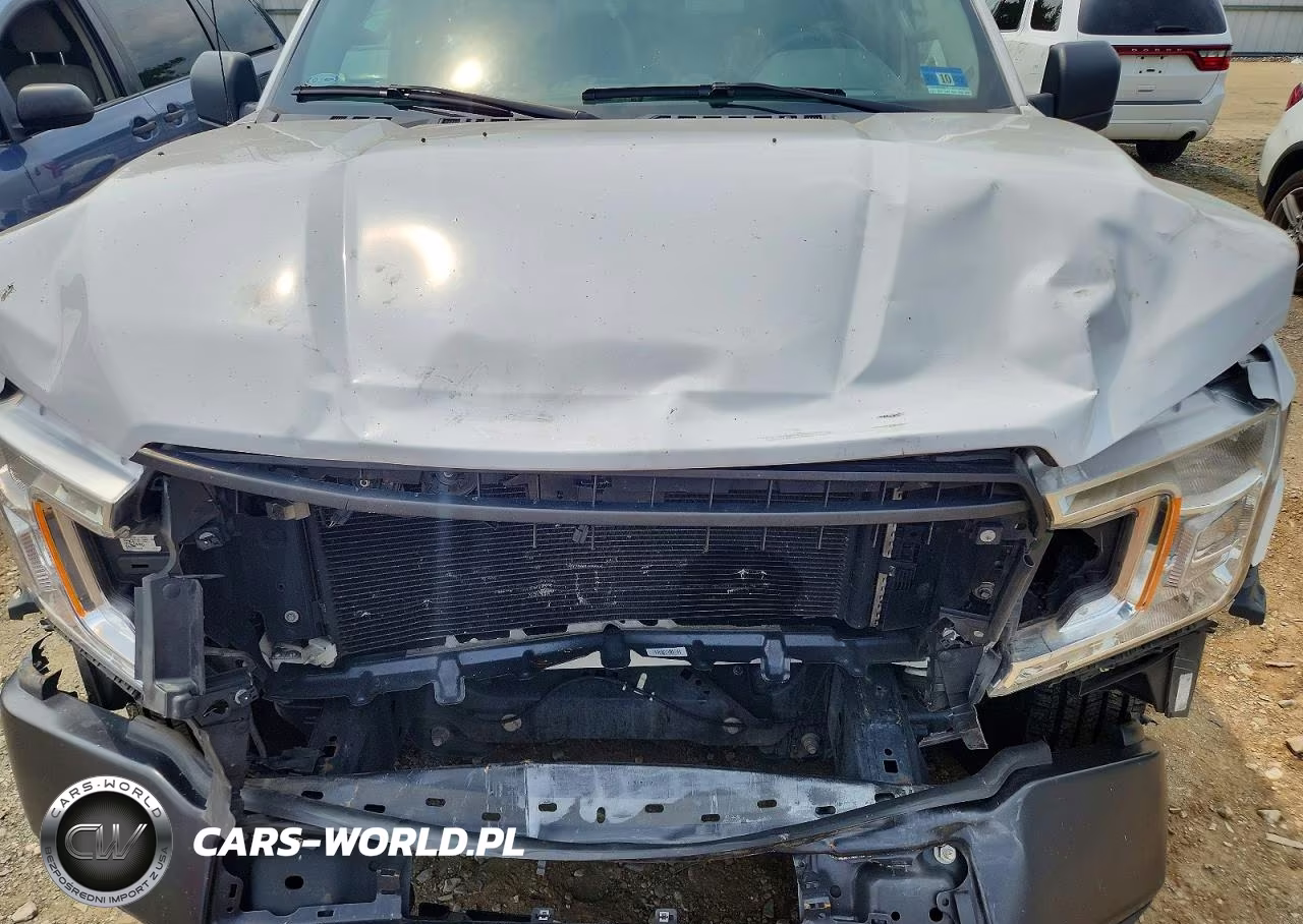 2019 Ford F150 VIN:1FTMF1E57KKE68003 - 11