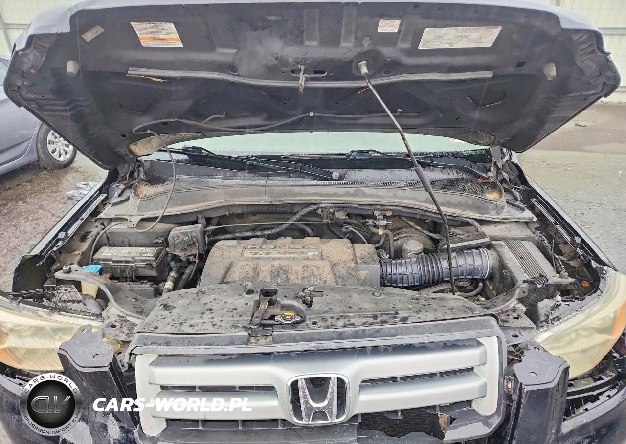 2006 Honda Pilot Ex VIN:2HKYF18406H563883 - 12