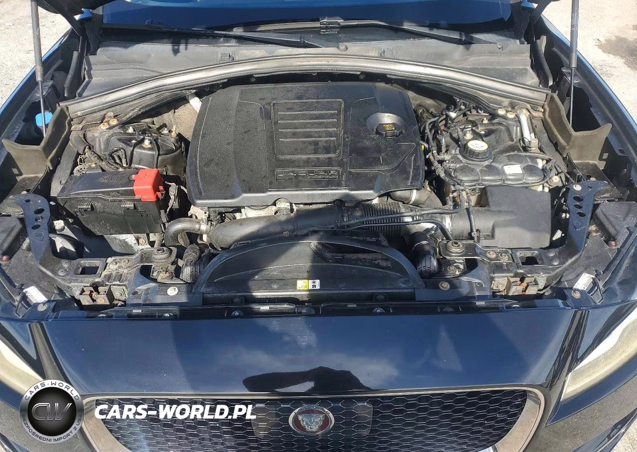 2019 Jaguar F-Pace Prestige VIN:SADCK2GX9KA356938 - 12