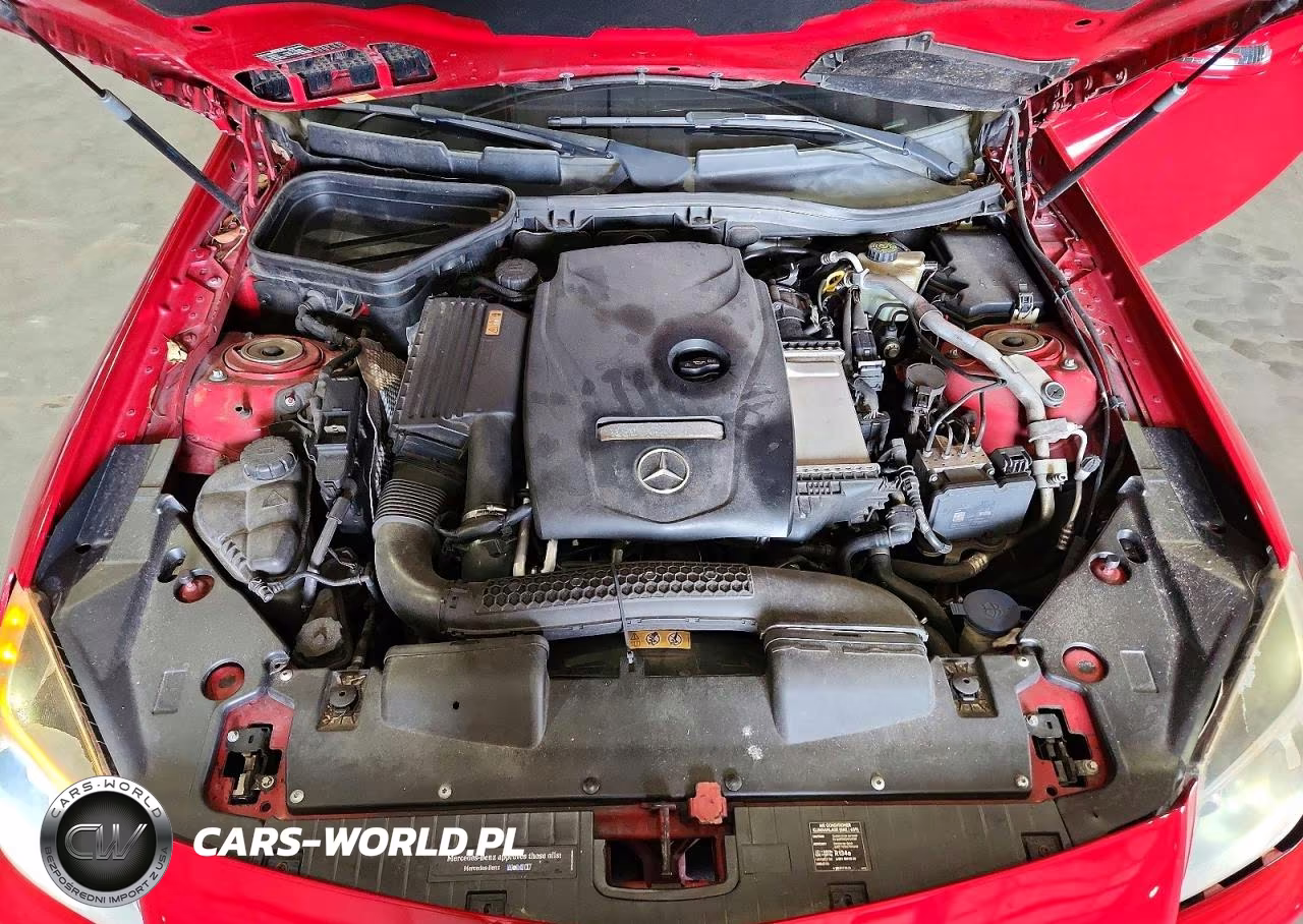 2016 Mercedes-Benz Slk 300 VIN:WDDPK3JAXGF117163 - 11