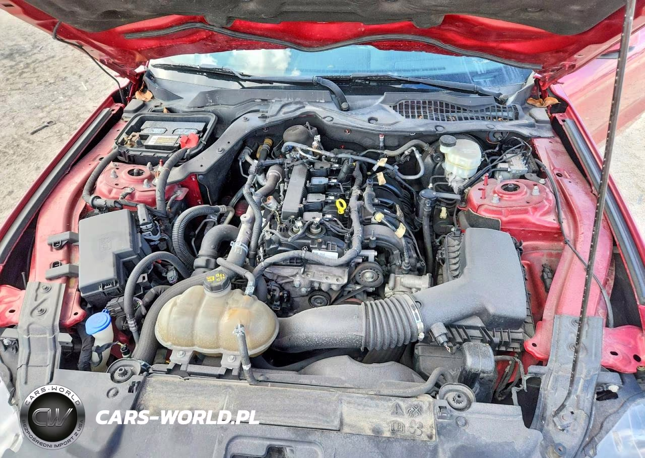 2020 Ford Mustang VIN:1FA6P8THXL5108306 - 11