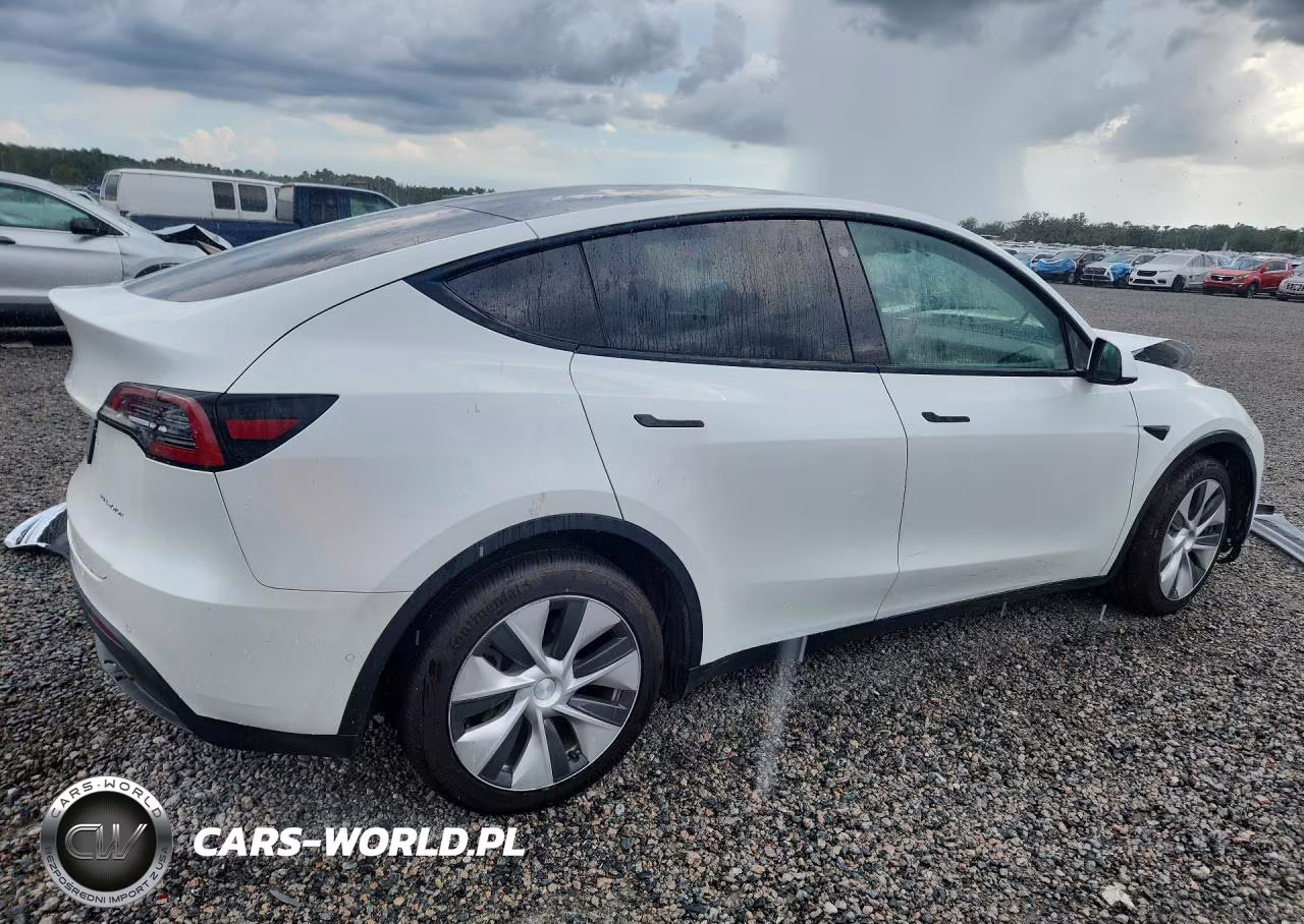 2022 Tesla Model Y VIN:7SAYGDEE1NF436961 - 3