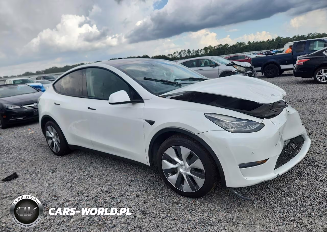 2022 Tesla Model Y VIN:7SAYGDEE1NF436961 - 4