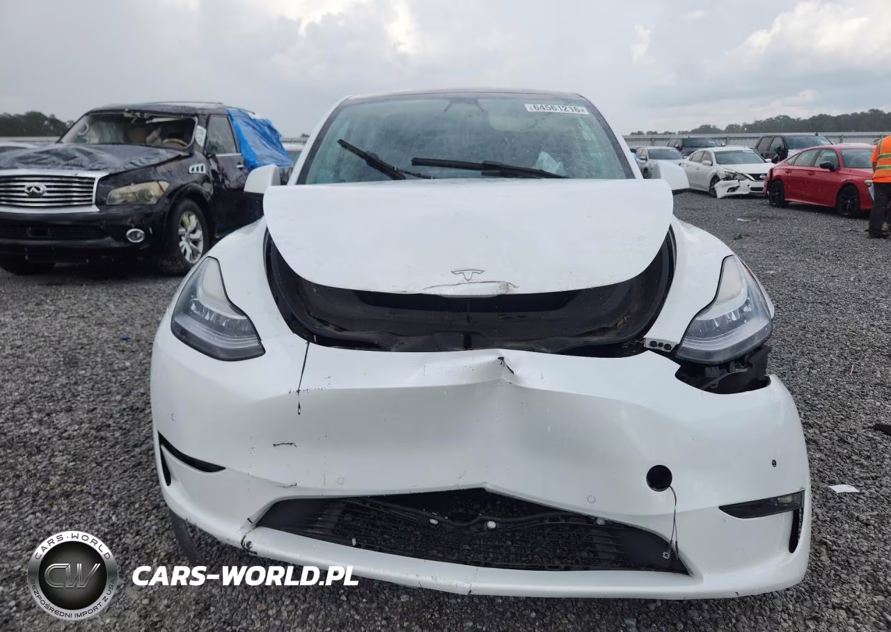 2022 Tesla Model Y VIN:7SAYGDEE1NF436961 - 5