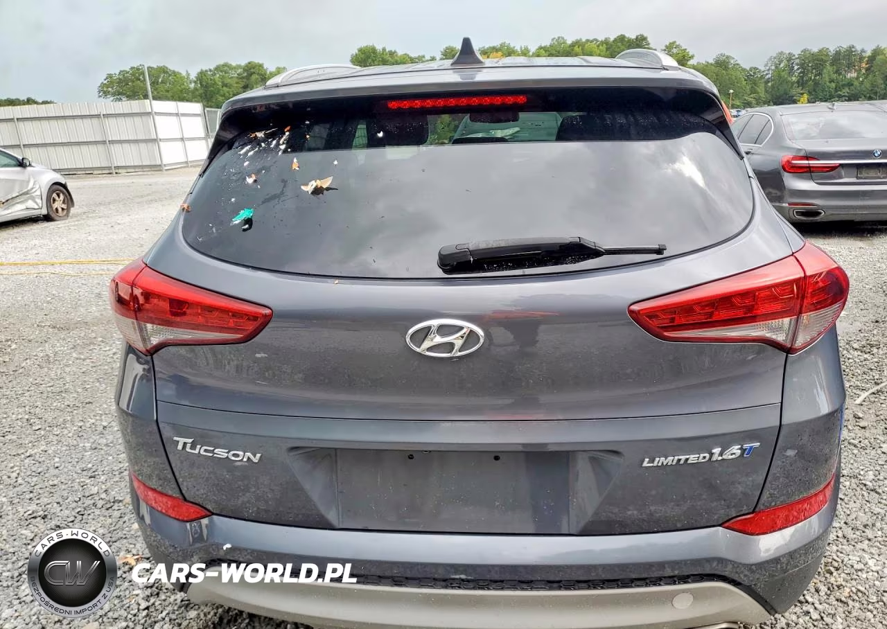 2017 Hyundai Tucson Limited VIN:KM8J33A23HU352289 - 6
