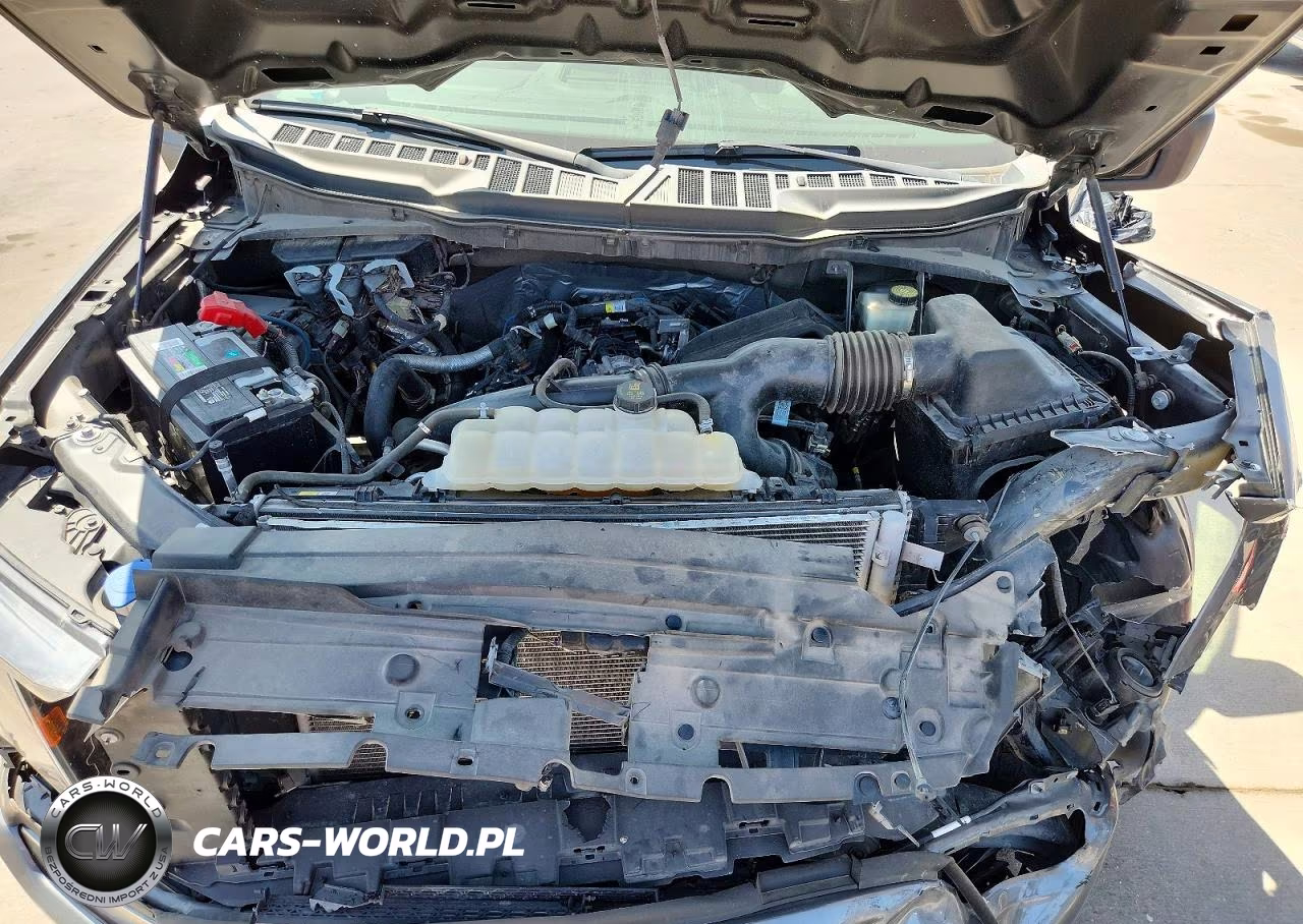 2023 Ford F150 Supercrew VIN:1FTEW1CP6PKD02751 - 10