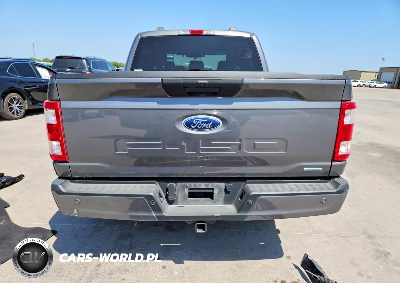 2023 Ford F150 Supercrew VIN:1FTEW1CP6PKD02751 - 5