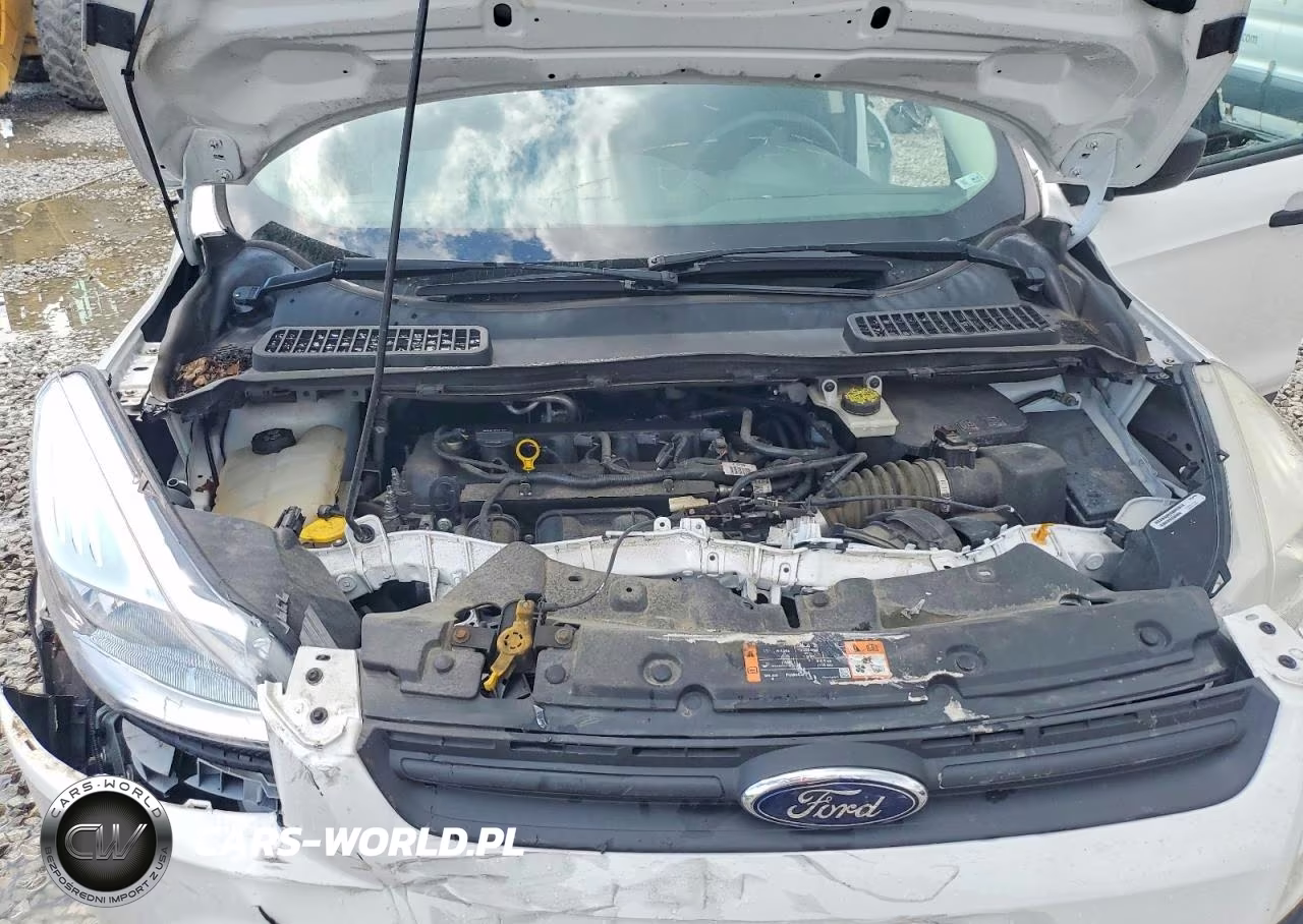 2016 Ford Escape S VIN:1FMCU0F73GUA19453 - 12