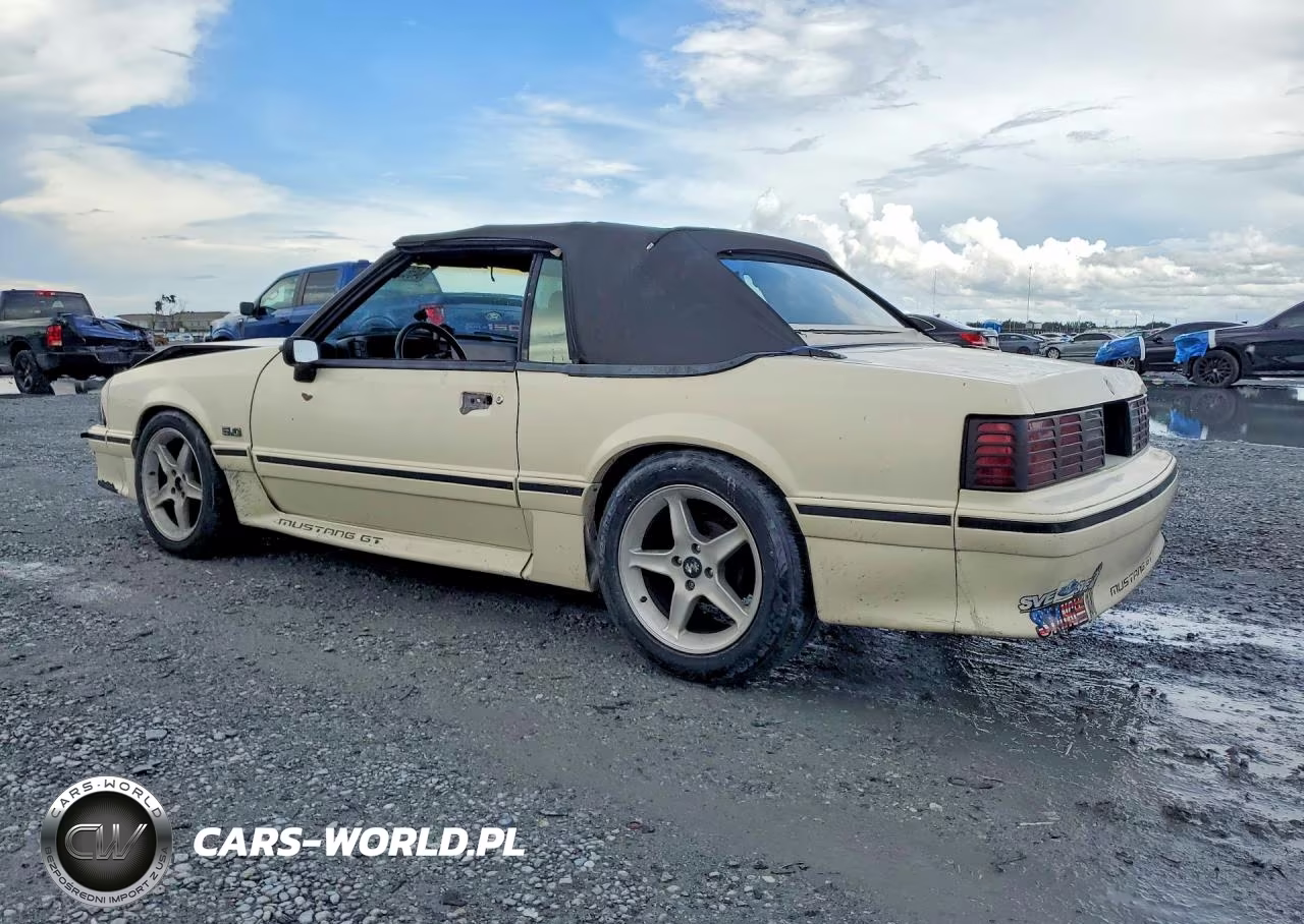 1989 Ford Mustang Gt VIN:1FABP45E5KF160896 - 2