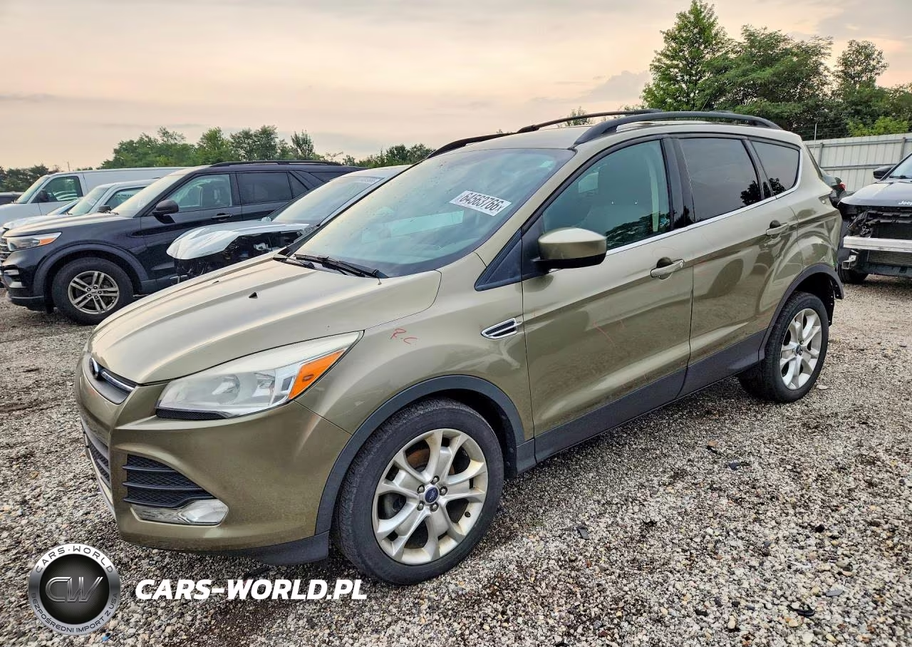 2013 Ford Escape Se VIN:1FMCU0GX6DUB62505 - 1
