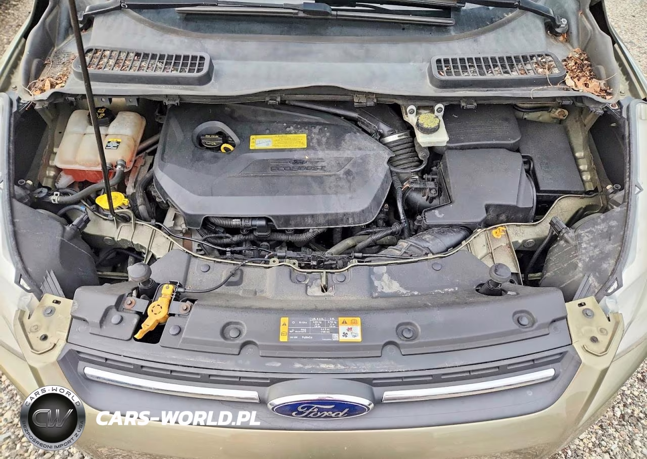 2013 Ford Escape Se VIN:1FMCU0GX6DUB62505 - 12
