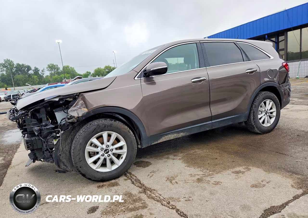 2019 Kia Sorento Lx VIN:5XYPG4A33KG563387 - 1