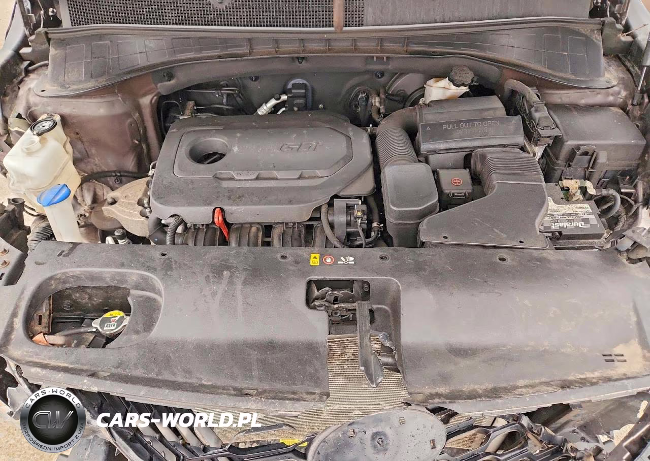 2019 Kia Sorento Lx VIN:5XYPG4A33KG563387 - 12