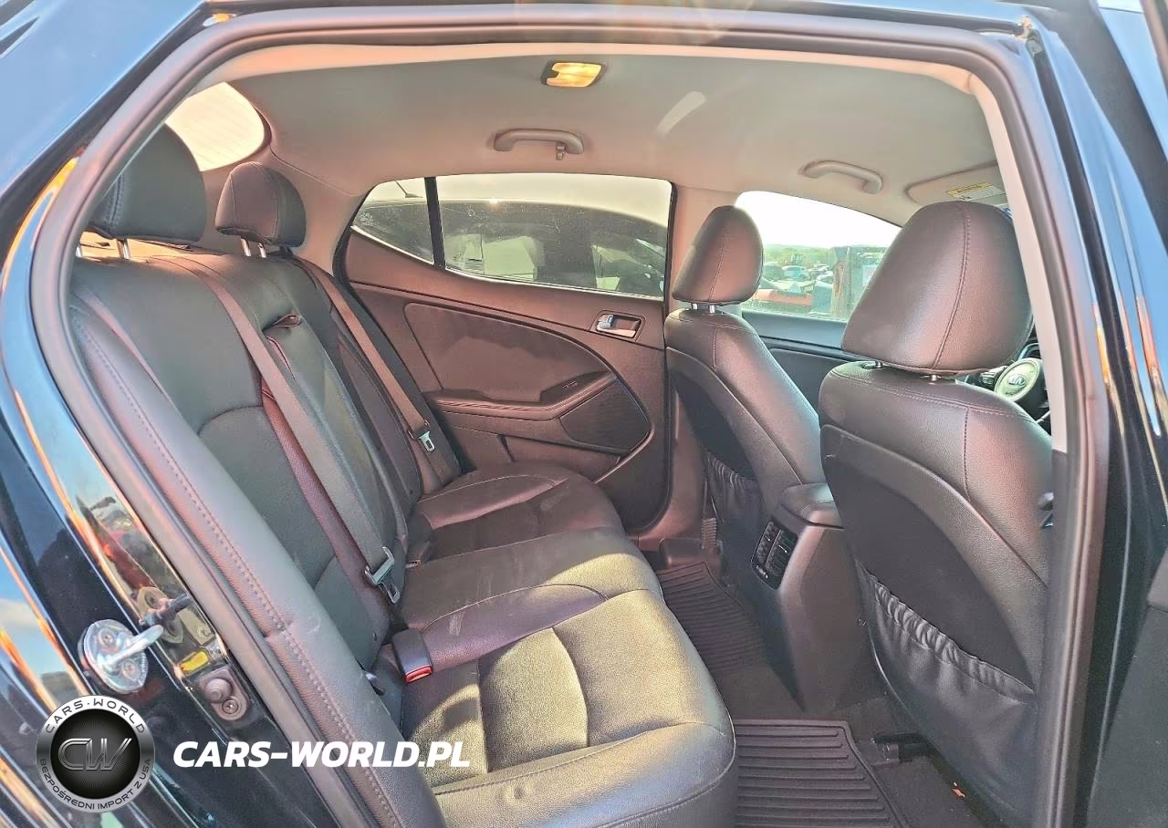 2015 Kia Optima Ex VIN:5XXGN4A77FG494920 - 10