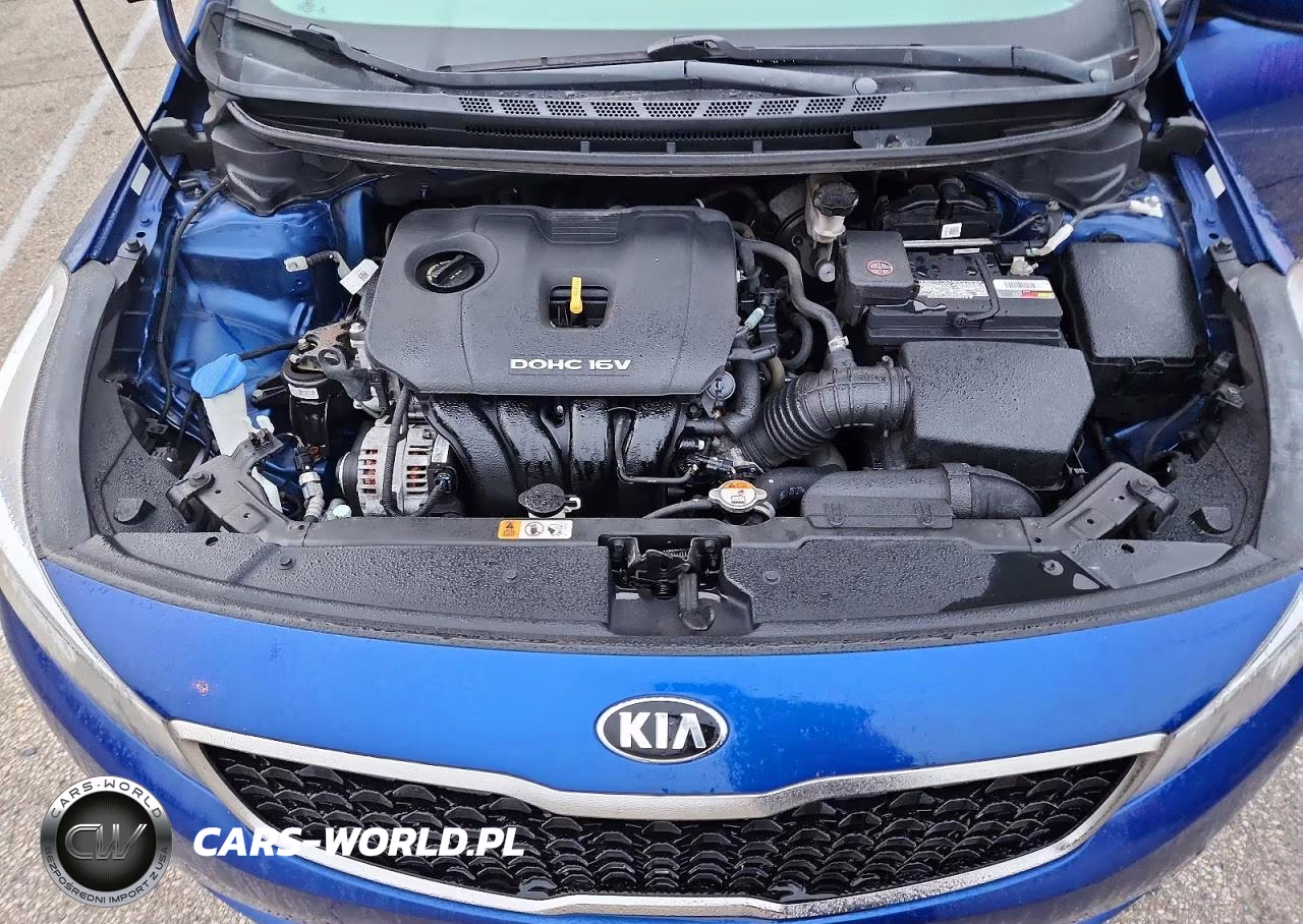 2018 Kia Forte Lx VIN:3KPFK4A79JE284891 - 11
