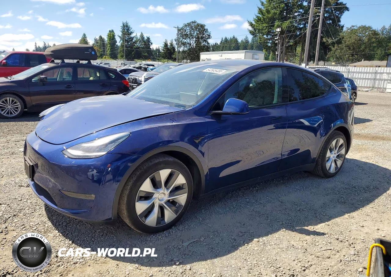 2020 Tesla Model Y