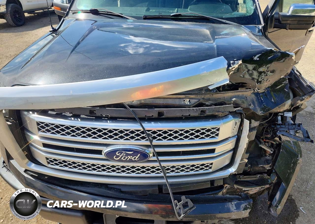 2014 Ford F150 Supercrew VIN:1FTFW1EF3EFC61882 - 11