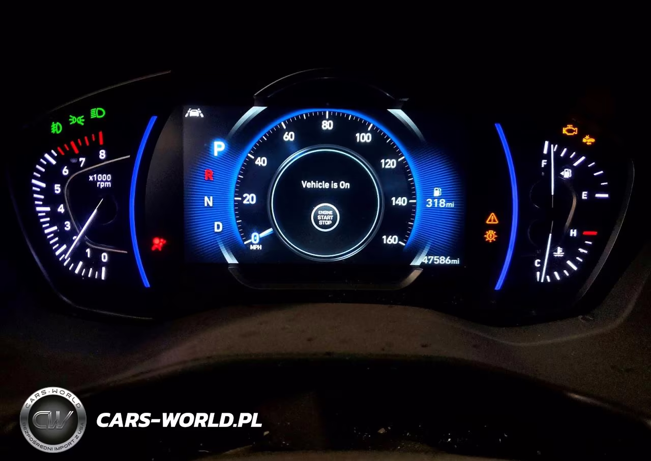 2020 Hyundai Santa Fe Limited 2.0T VIN:5NMS5CAA1LH276582 - 9