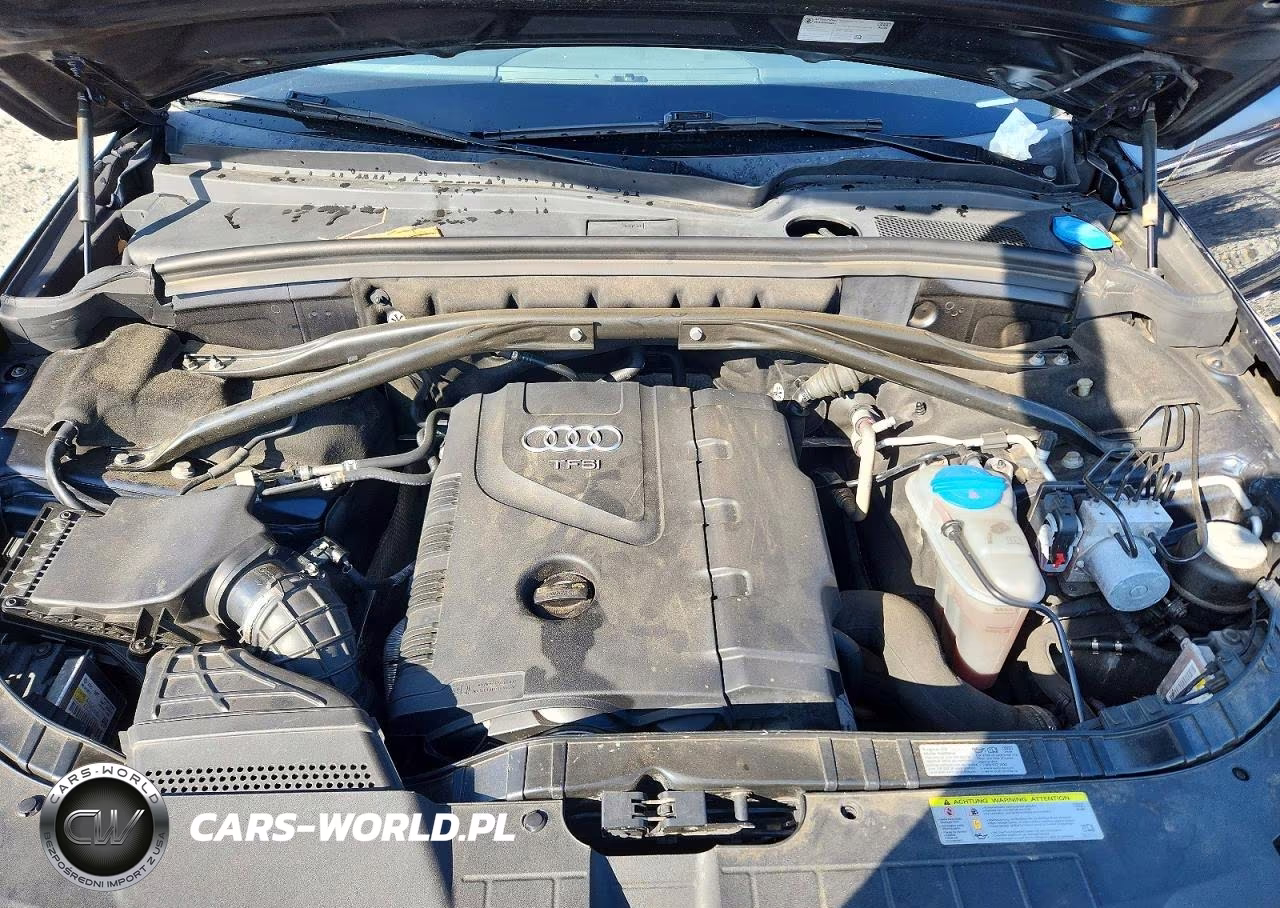 2011 Audi Q5 Premium Plus VIN:WA1LFAFP0BA069784 - 12