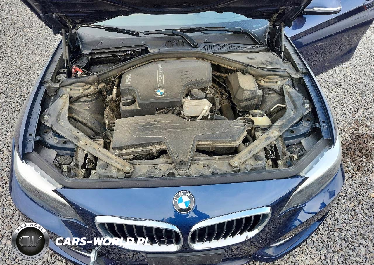 2016 BMW 228 Xi Sulev VIN:WBA1L9C52GV767530 - 11