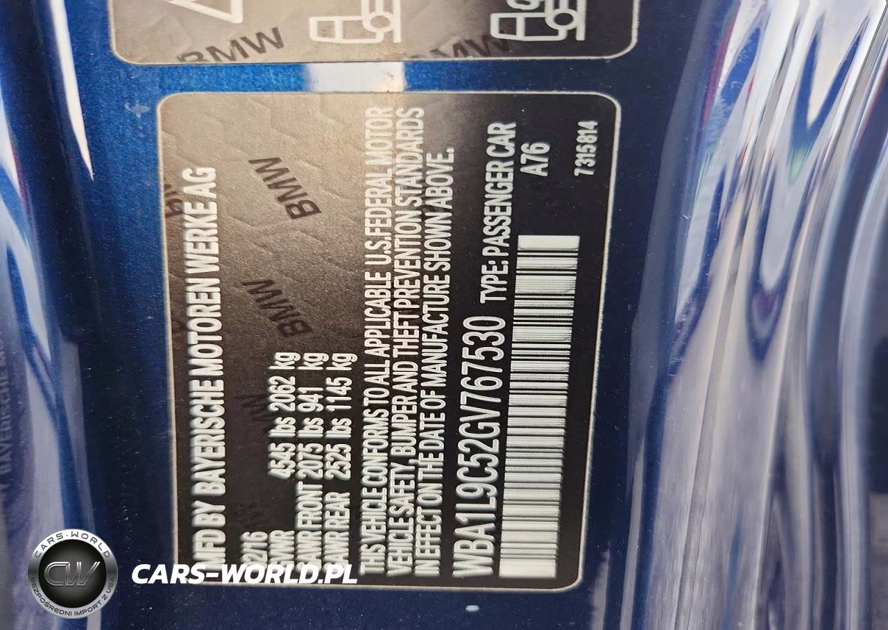 2016 BMW 228 Xi Sulev VIN:WBA1L9C52GV767530 - 12