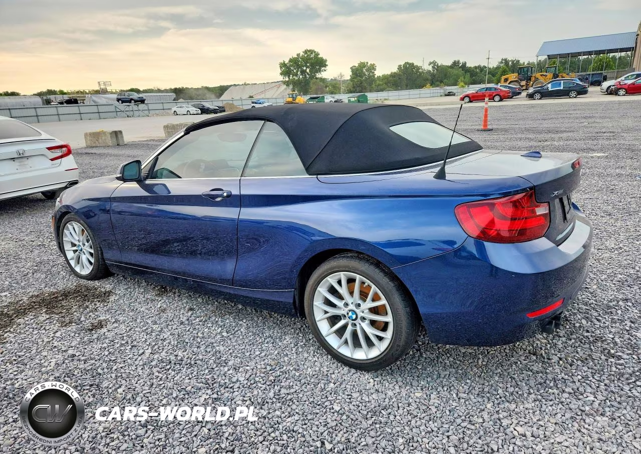 2016 BMW 228 Xi Sulev VIN:WBA1L9C52GV767530 - 2