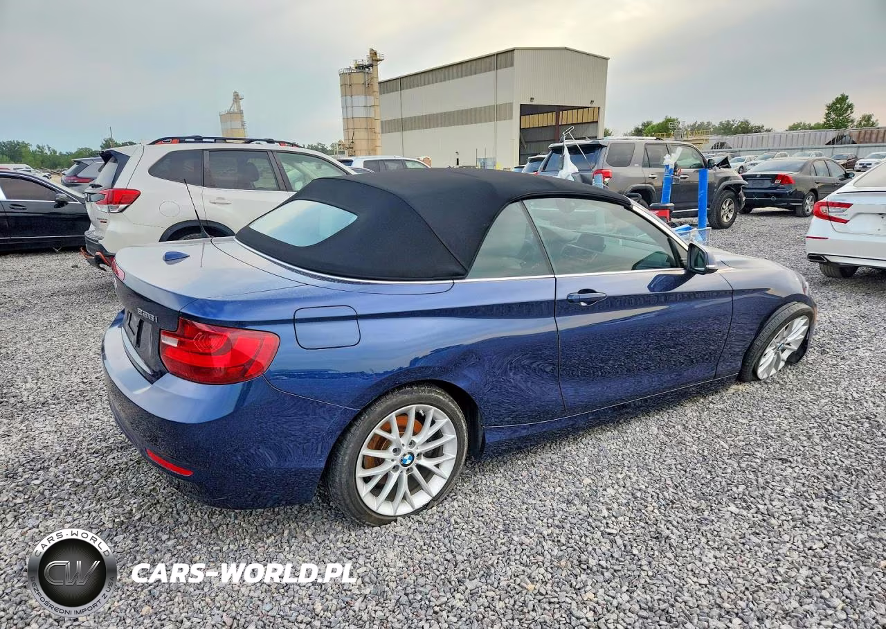 2016 BMW 228 Xi Sulev VIN:WBA1L9C52GV767530 - 3