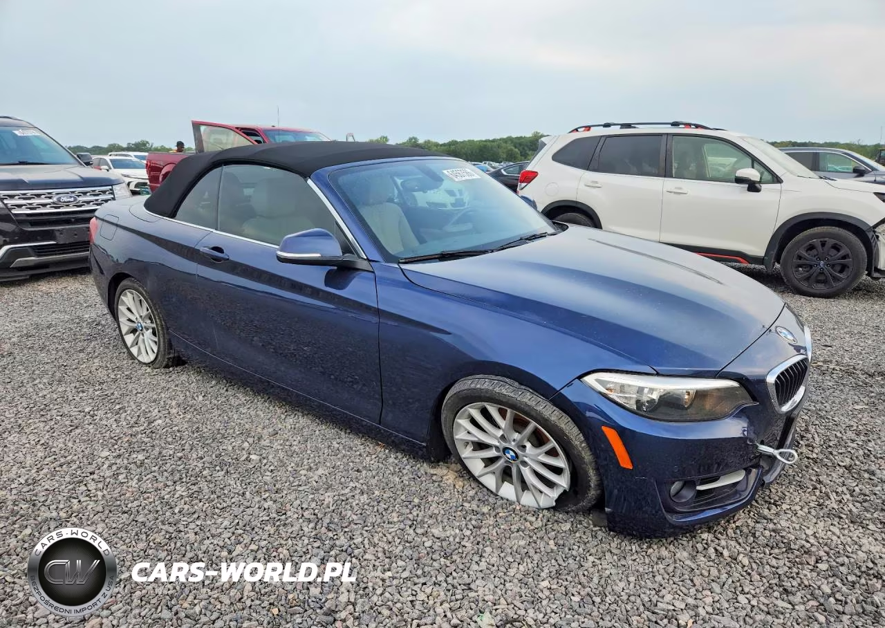 2016 BMW 228 Xi Sulev VIN:WBA1L9C52GV767530 - 4