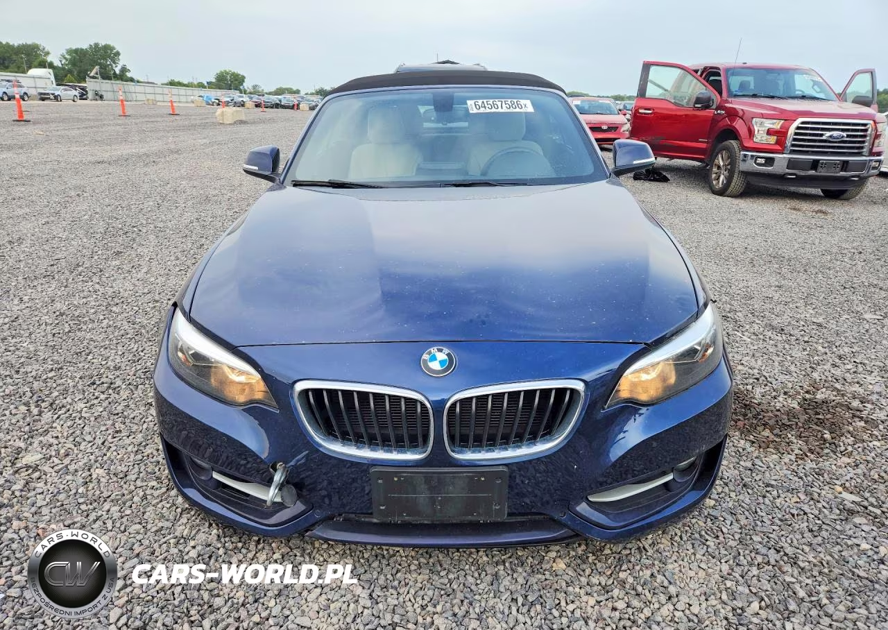 2016 BMW 228 Xi Sulev VIN:WBA1L9C52GV767530 - 5