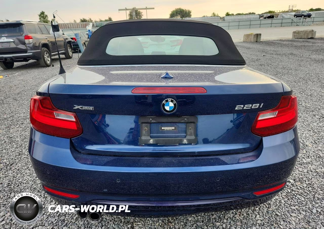 2016 BMW 228 Xi Sulev VIN:WBA1L9C52GV767530 - 6
