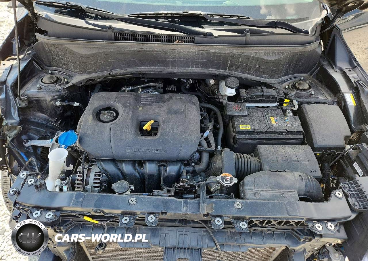 2024 Kia Seltos Ex VIN:KNDERCAA8R7632429 - 12