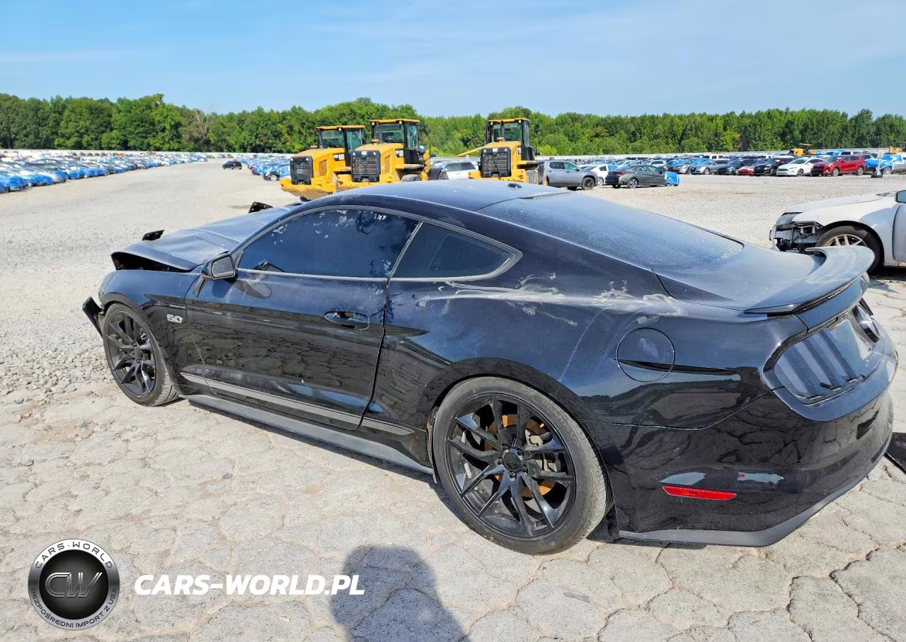 2016 Ford Mustang Gt VIN:1FA6P8CF3G5309209 - 2