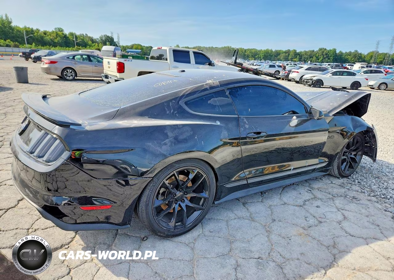 2016 Ford Mustang Gt VIN:1FA6P8CF3G5309209 - 3