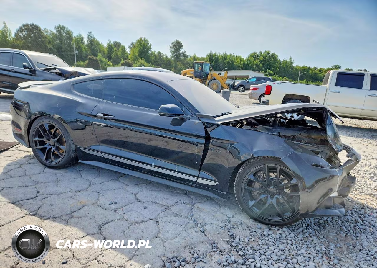 2016 Ford Mustang Gt VIN:1FA6P8CF3G5309209 - 4
