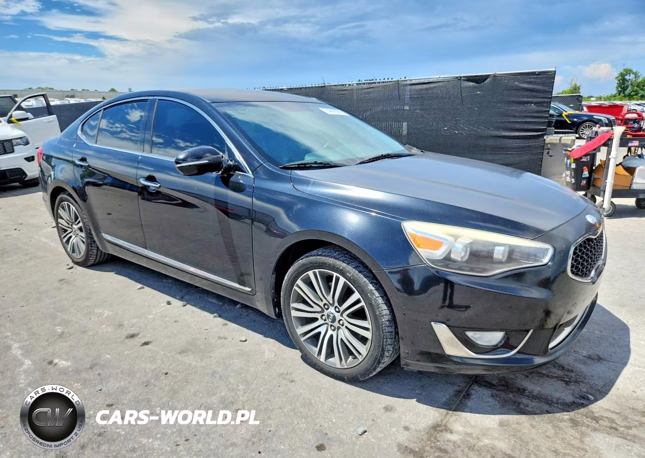 2014 Kia Cadenza Premium VIN:KNALN4D77E5165595 - 4