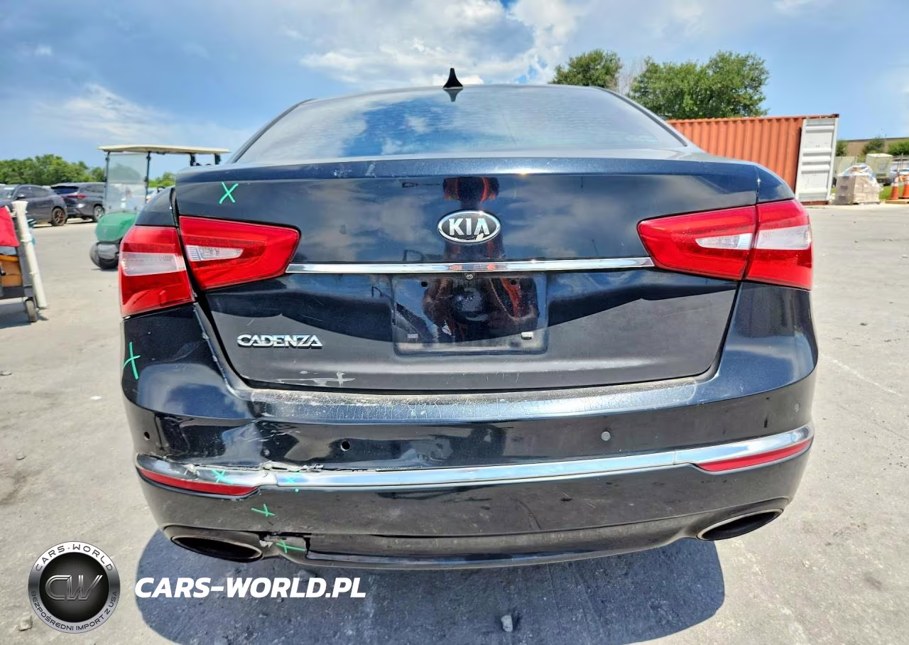 2014 Kia Cadenza Premium VIN:KNALN4D77E5165595 - 6
