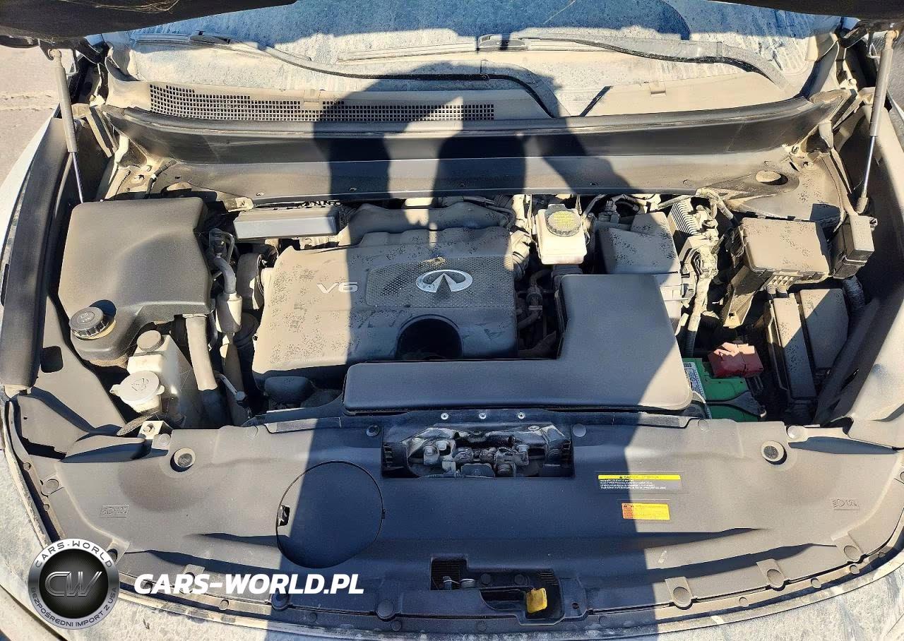 2020 INFINITI QX60 PURE AWD VIN:5N1DL0MM5LC522224 - 12