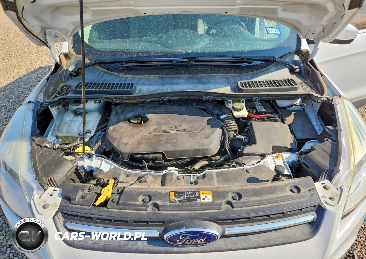 2013 Ford Escape Se VIN:1FMCU0GX0DUC59246 - 12