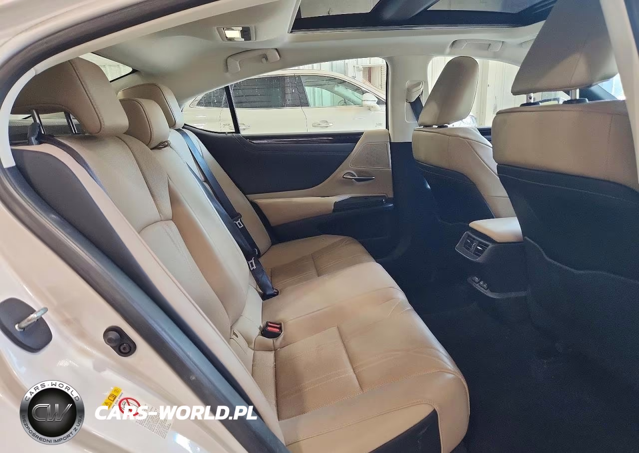 2019 Lexus Es 350 VIN:58ABZ1B17KU007103 - 10