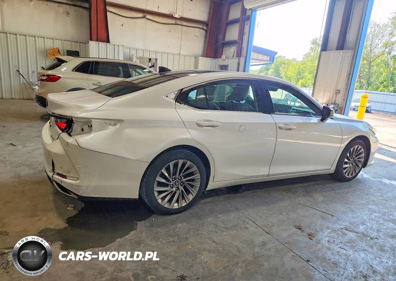 2019 Lexus Es 350 VIN:58ABZ1B17KU007103 - 3