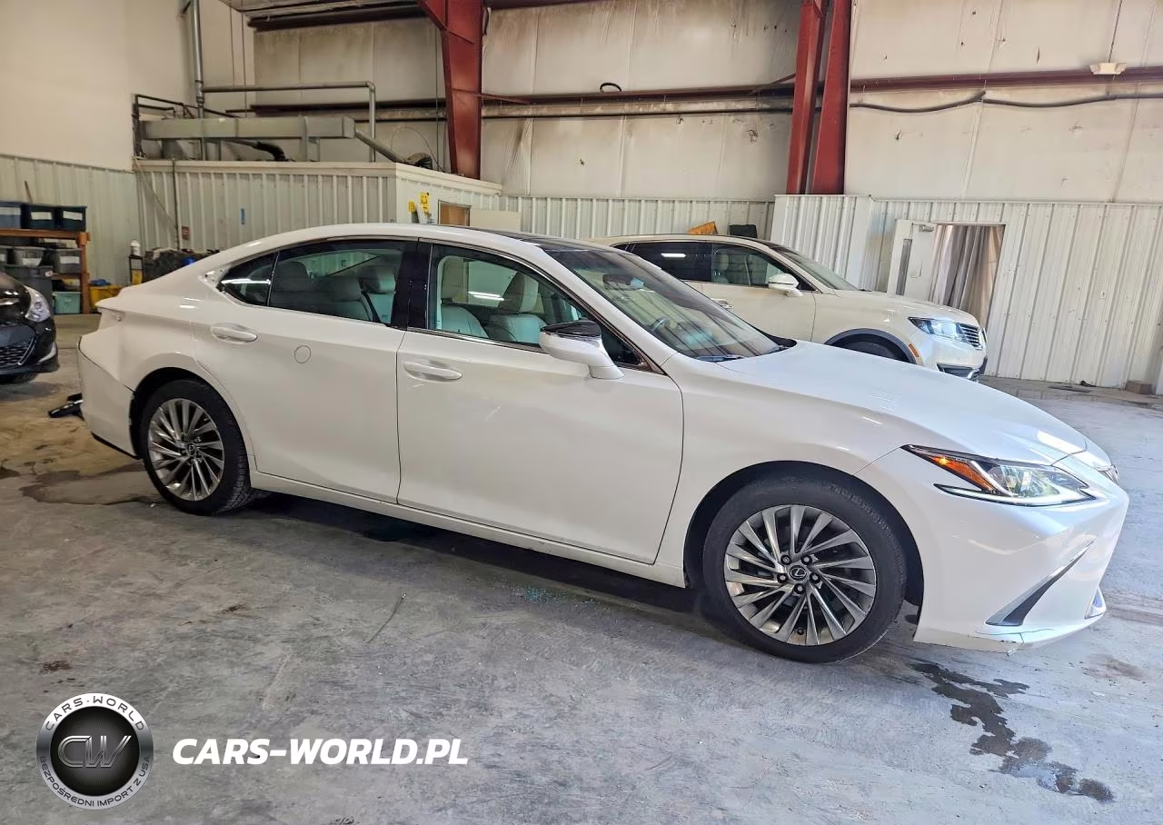 2019 Lexus Es 350 VIN:58ABZ1B17KU007103 - 4