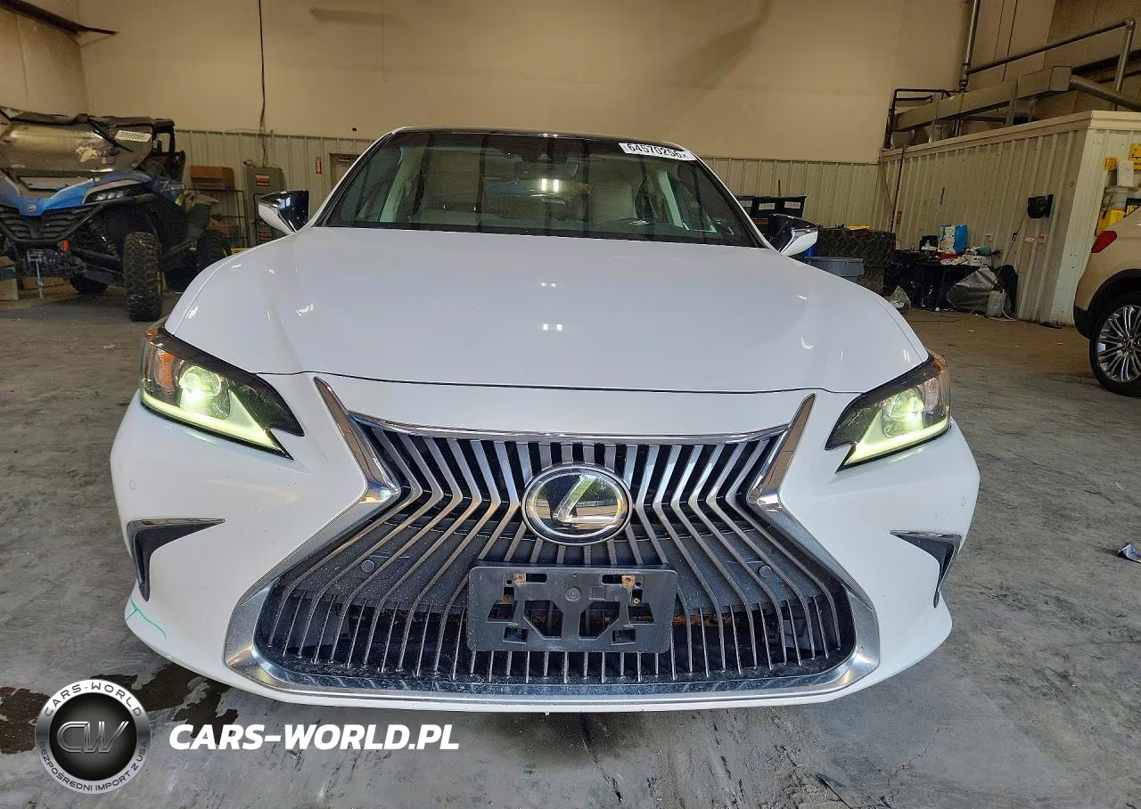 2019 Lexus Es 350 VIN:58ABZ1B17KU007103 - 5