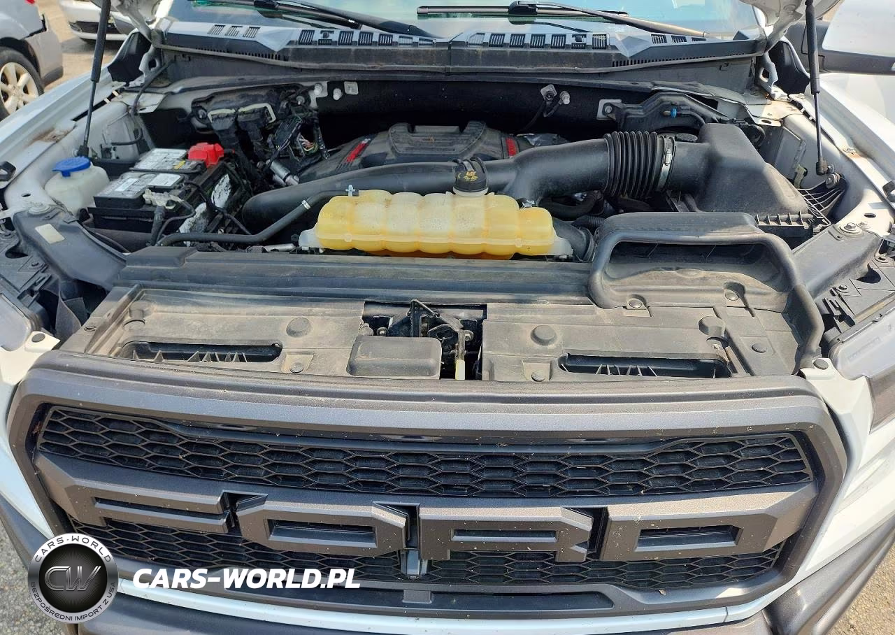 2019 Ford F150 Raptor VIN:1FTFW1RG5KFA40329 - 11